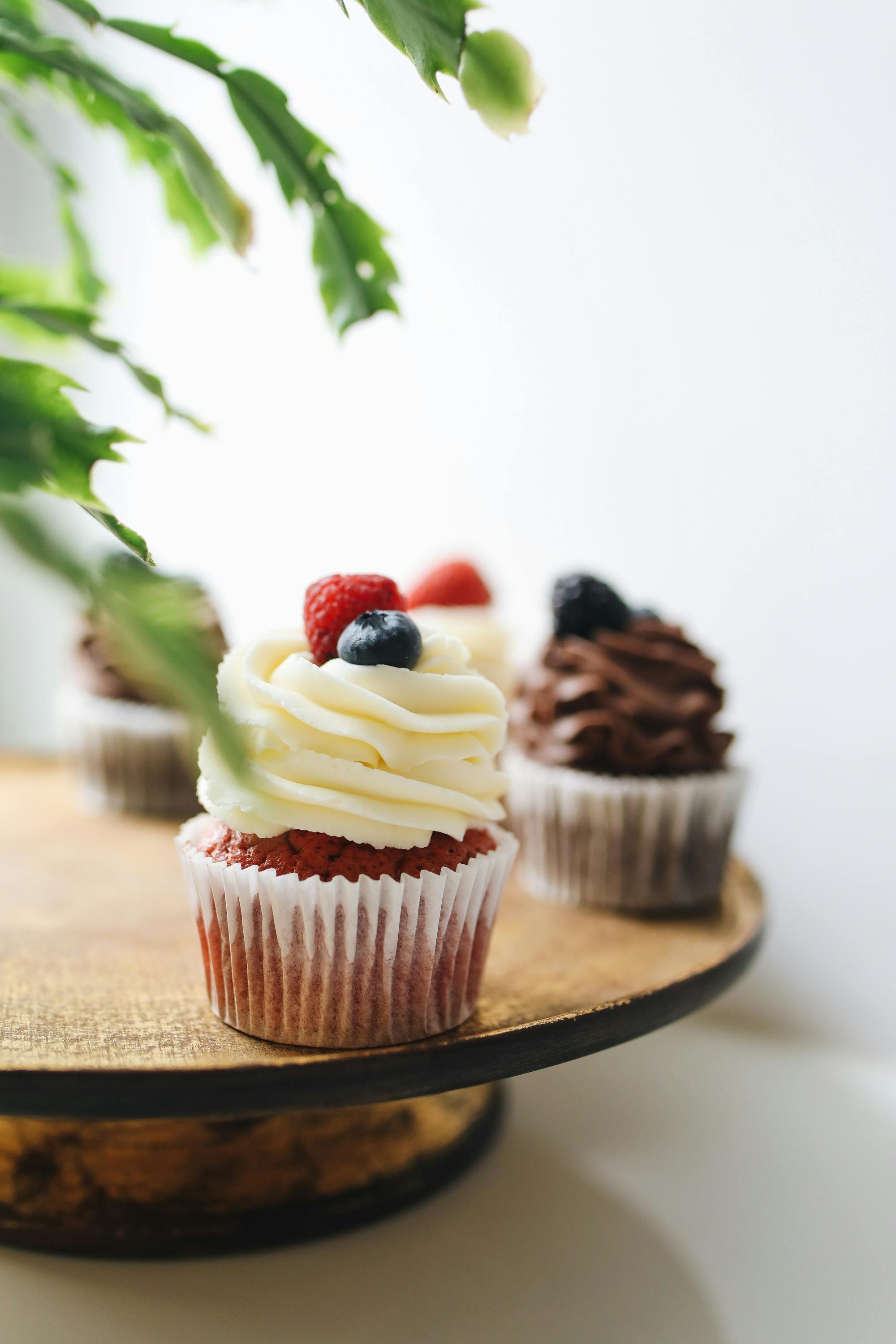 Two chocolate cupcakes with creamy frosting on a cake stand
